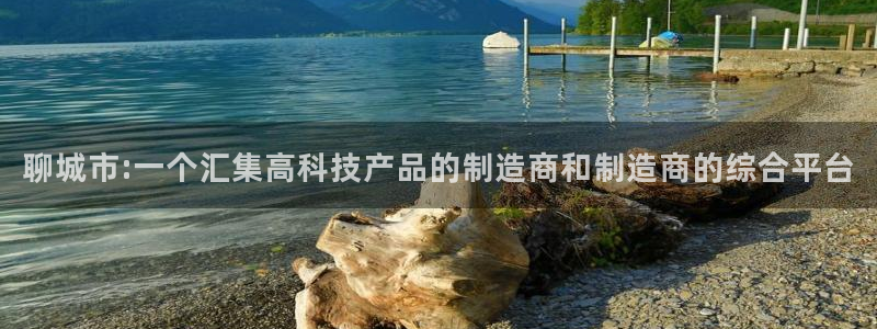 意昂体育3开户：聊城市:一个汇集高科技产品的制造商和制造商的