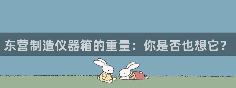 德国意昂3集团：东营制造仪器箱的重量：你是否也想它？