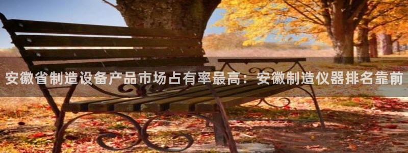 意昂体育3招商电话地址查询：安徽省制造设备产品市场占有率最高