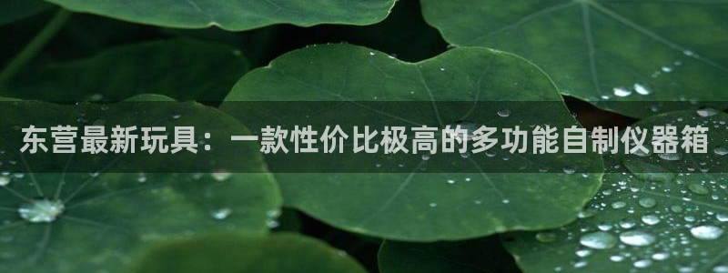 意昂体育3招商电话是多少啊：东营最新玩具：一款性价比极高的多