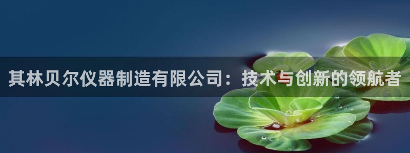 意昂3五金厂：其林贝尔仪器制造有限公司：技术与创新的领航者