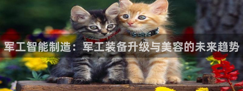 意昂3五金厂：军工智能制造：军工装备升级与美容的未来趋势