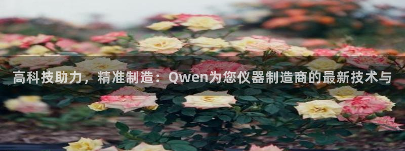 意昂体育3招商电话是多少号码：高科技助力，精准制造：Qwen