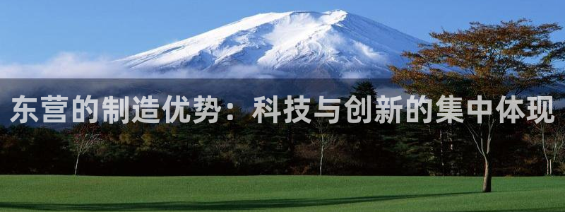 意昂3官方：东营的制造优势：科技与创新的集中体现