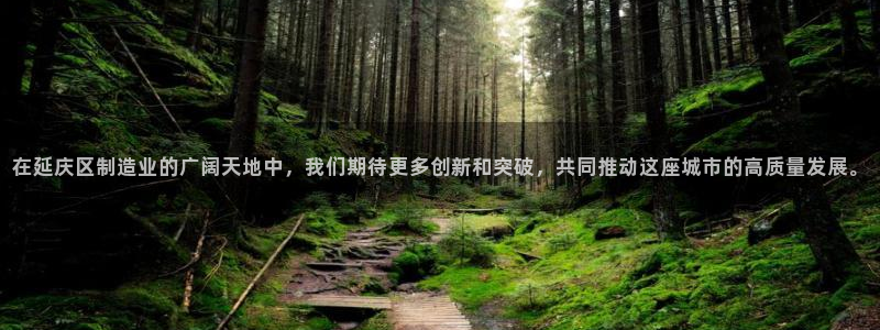 意昂体育3招商电话地址查询：在延庆区制造业的广阔天地中，我们