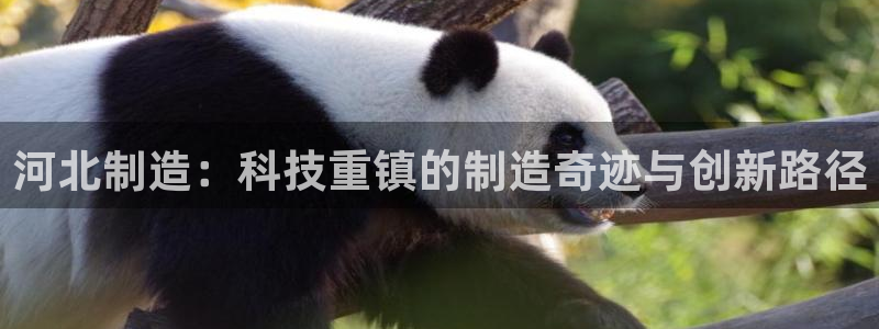 意昂体育3招商电话地址是多少：河北制造：科技重镇的制造奇迹与