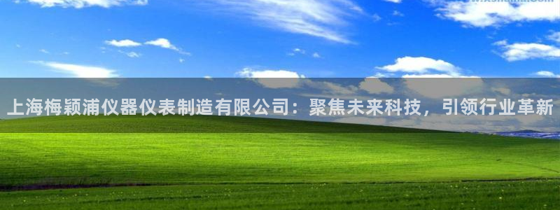 德国意昂3集团：上海梅颖浦仪器仪表制造有限公司：聚焦未来科技