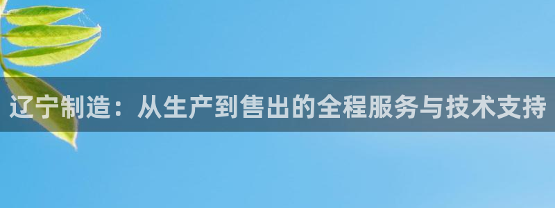 意昂体育3招商电话号码是多少啊：辽宁制造：从生产到售出的全程
