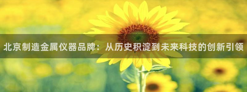 意昂3娱乐首页网站大全：北京制造金属仪器品牌：从历史积淀到未