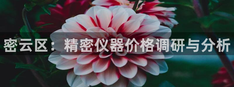 意昂3集团简介：密云区：精密仪器价格调研与分析