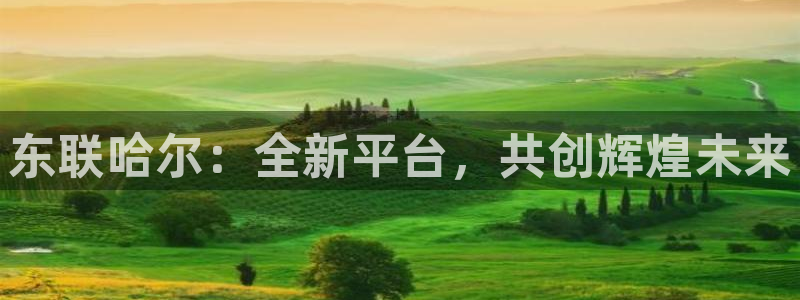 意昂体育3招商电话号码是多少啊：东联哈尔：全新平台，共创辉煌