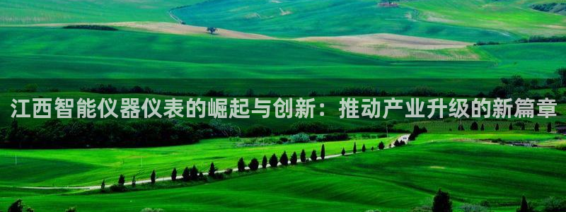 意昂体育3招商电话是多少啊：江西智能仪器仪表的崛起与创新：推