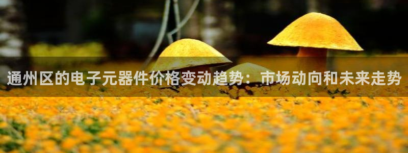 意昂体育3平台注册：通州区的电子元器件价格变动趋势：市场动向