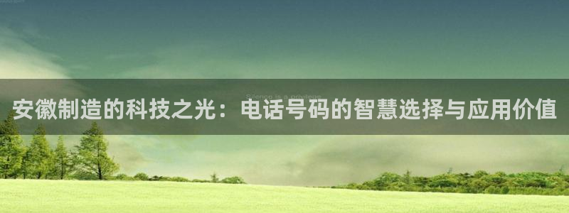意昂体育3平台注册：安徽制造的科技之光：电话号码的智慧选择与