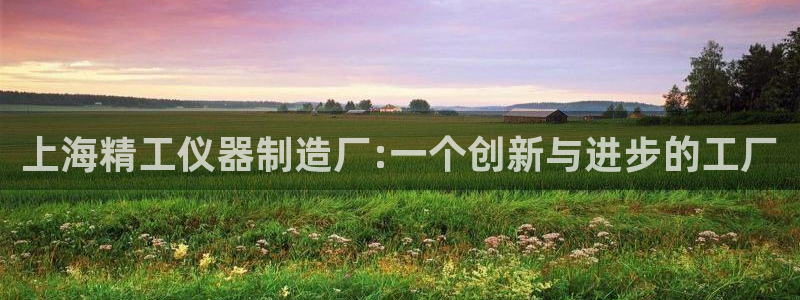 意昂体育3平台注册：上海精工仪器制造厂:一个创新与进步的工厂