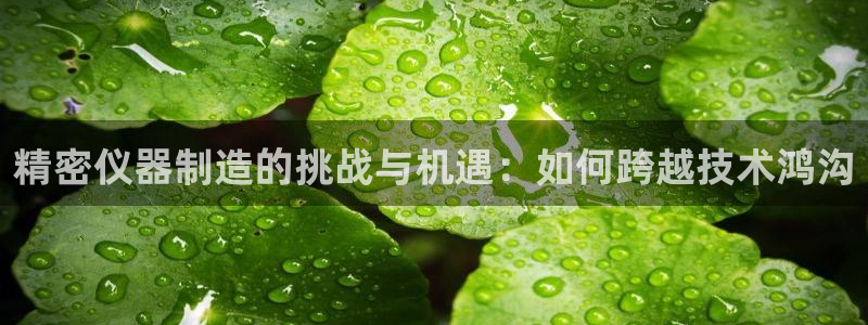 意昂体育3平台注册：精密仪器制造的挑战与机遇：如何跨越技术鸿
