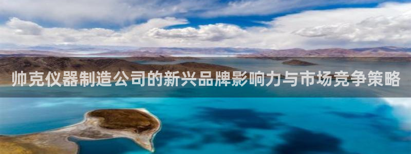 意昂体育3平台注册：帅克仪器制造公司的新兴品牌影响力与市场竞