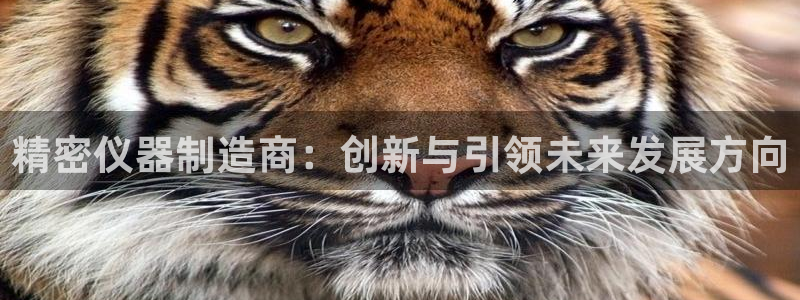 意昂3集团logo：精密仪器制造商：创新与引领未来发展方向