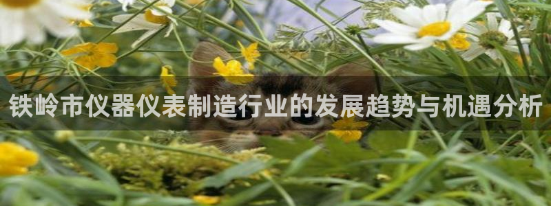 注册意昂3：铁岭市仪器仪表制造行业的发展趋势与机遇分析
