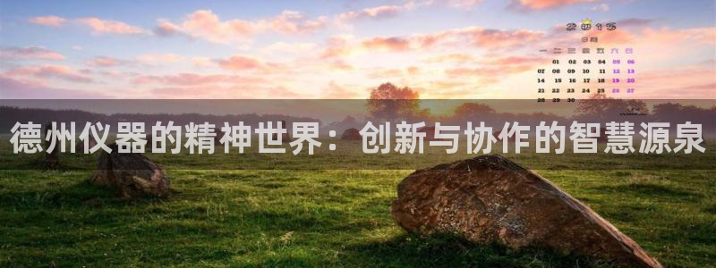 意昂体育3平台注册要钱吗是真的吗：德州仪器的精神世界：创新与